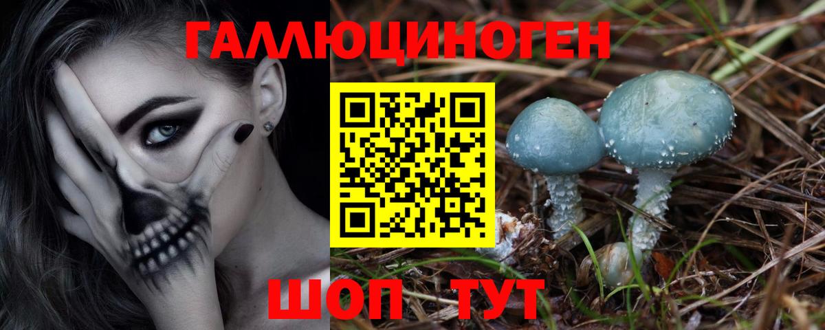 Псилоцибиновые грибы Psilocybine cubensis Темрюк