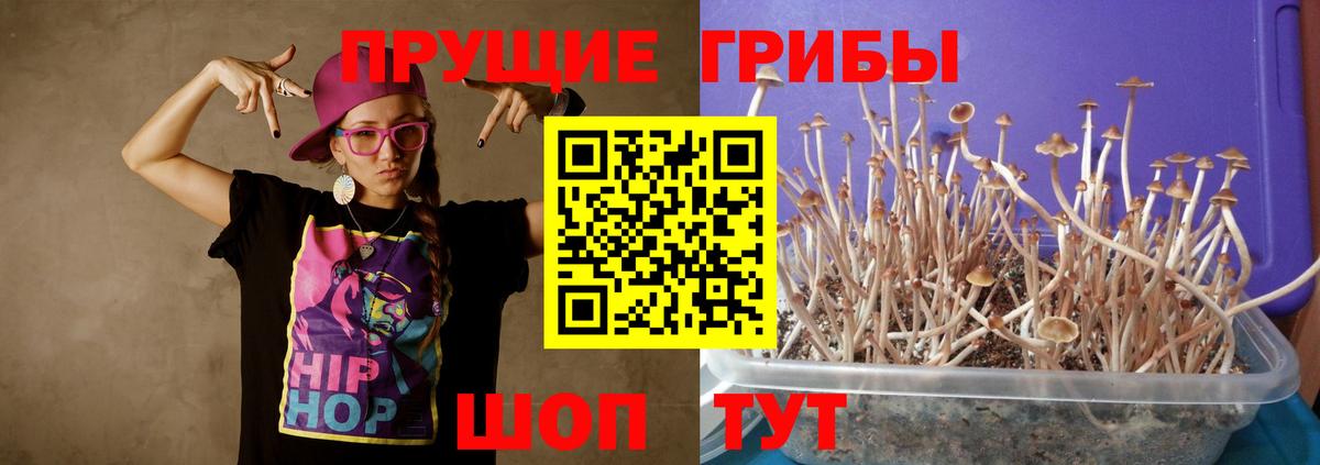Галлюциногенные грибы прущие грибы  Вход с VPN  Псилоцибиновые грибы Psilocybe  купить наркотики сайты  Темрюк 